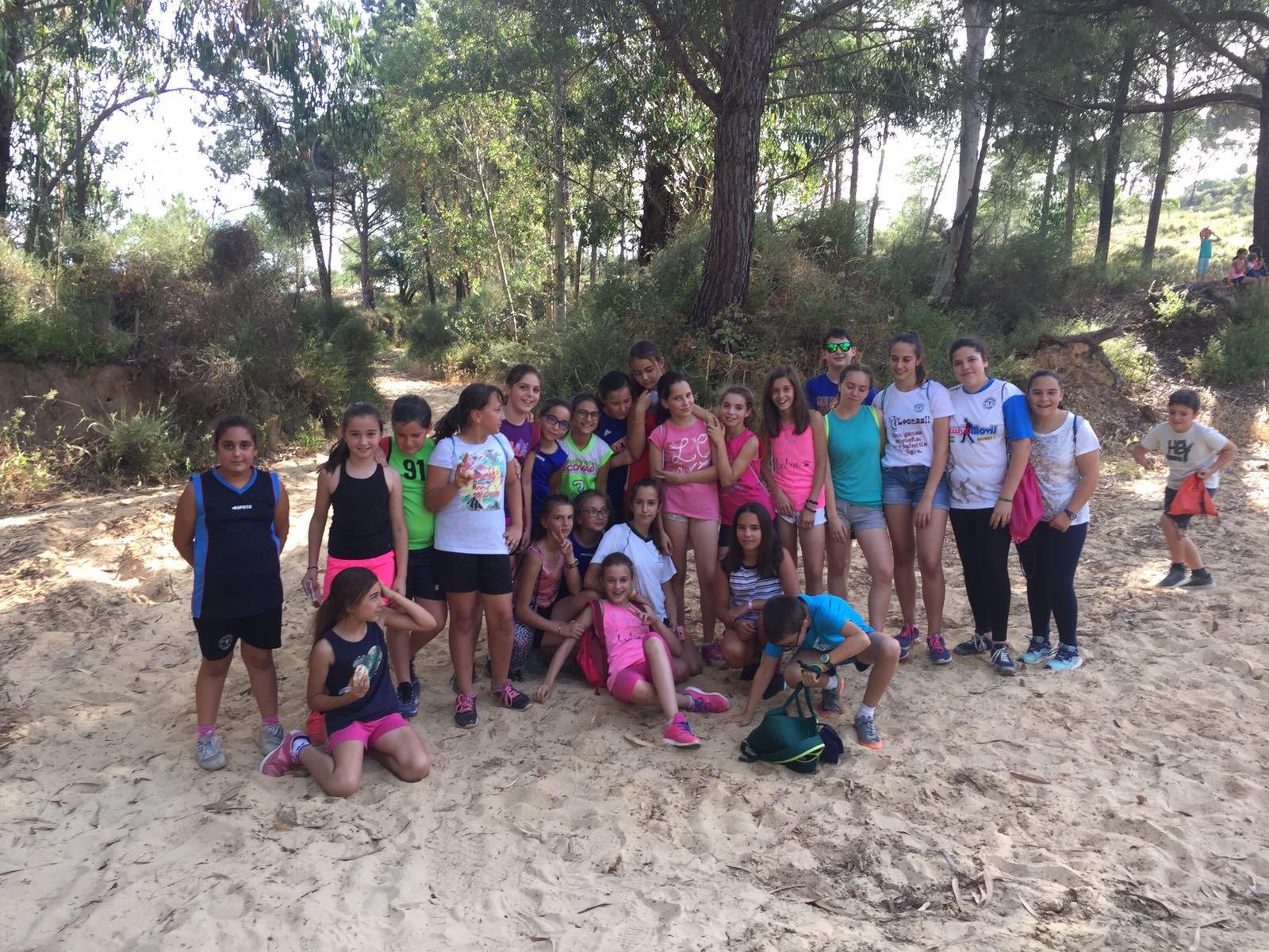 54b417cc-3c7c-439d-89af-00b7cc9c0067