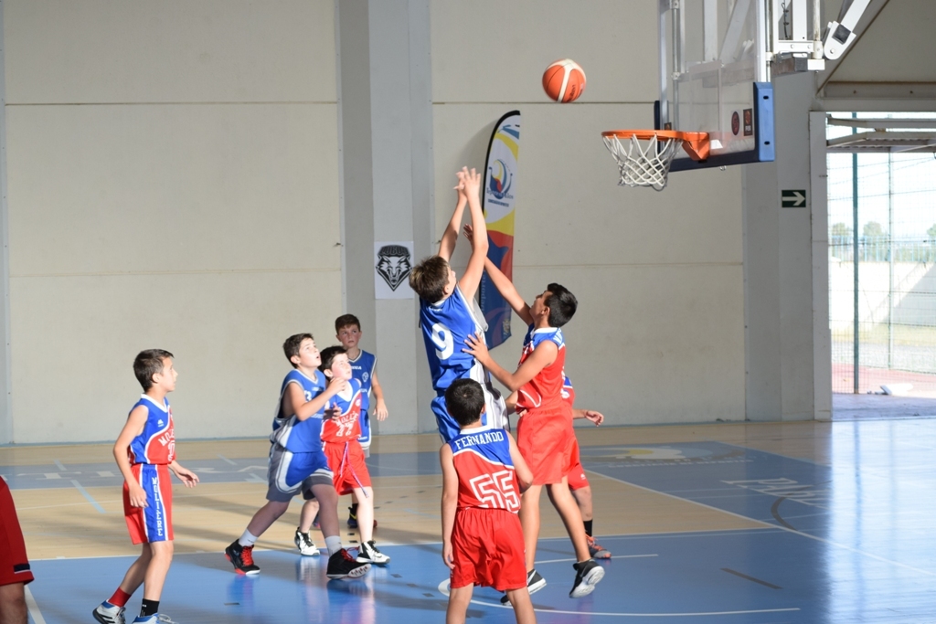 ????????????????????????????????????