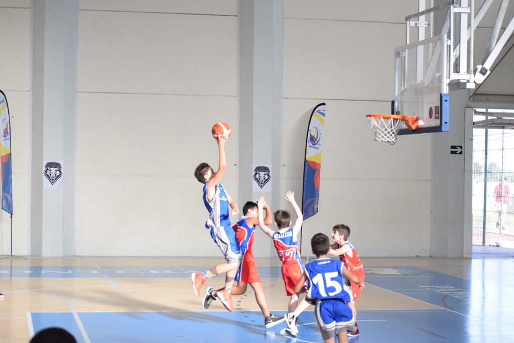 ????????????????????????????????????