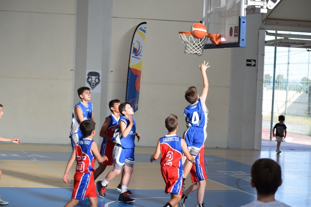 ????????????????????????????????????