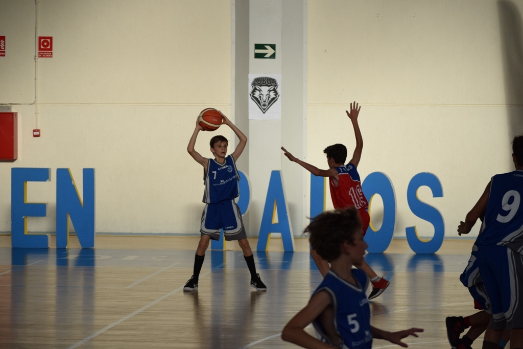 ????????????????????????????????????