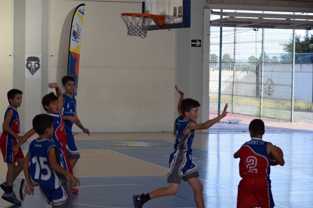 ????????????????????????????????????