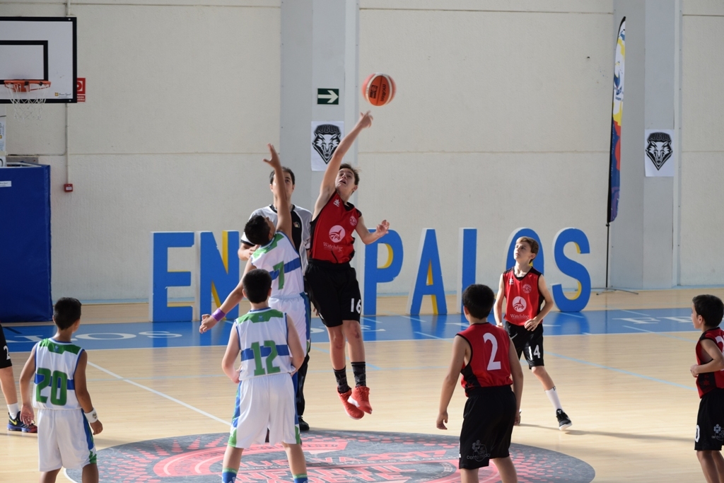 ????????????????????????????????????