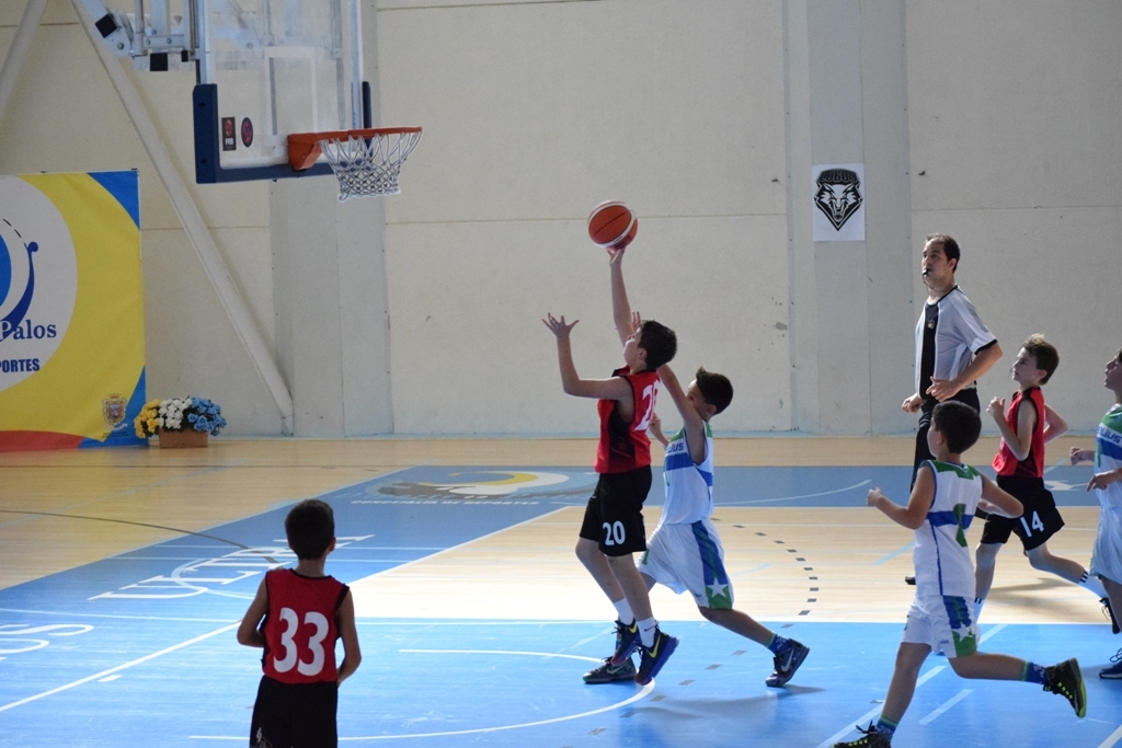 ????????????????????????????????????