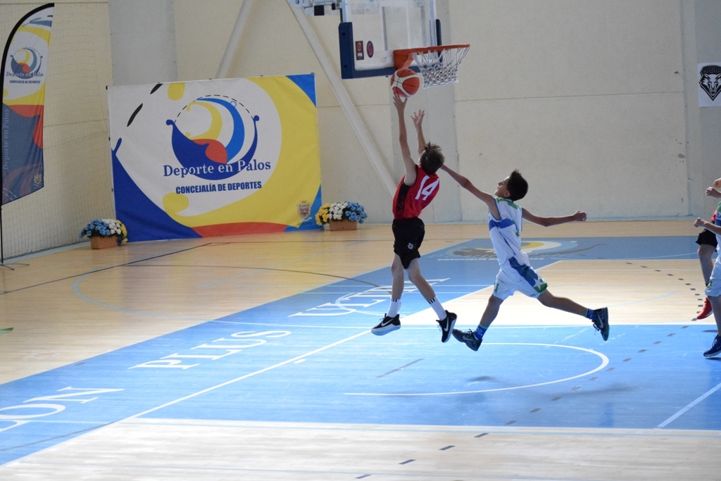 ????????????????????????????????????