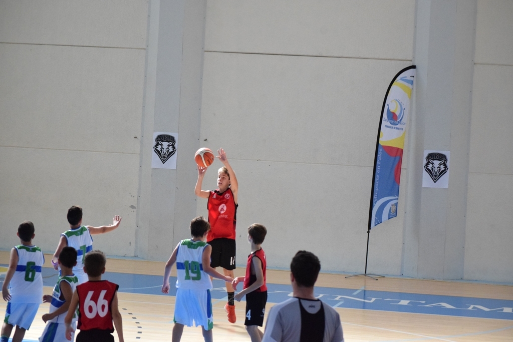 ????????????????????????????????????