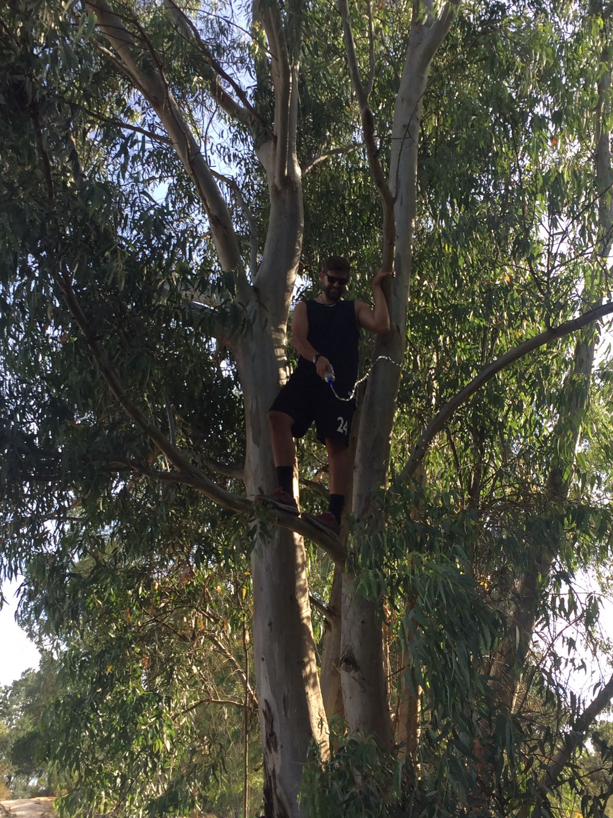 WhatsApp Image 2017-06-11 at 22.37.56 (1)